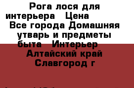 Рога лося для интерьера › Цена ­ 3 300 - Все города Домашняя утварь и предметы быта » Интерьер   . Алтайский край,Славгород г.